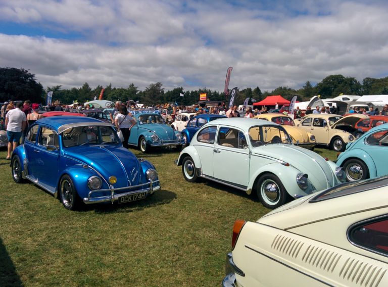 Beetles at VW Festival 2016